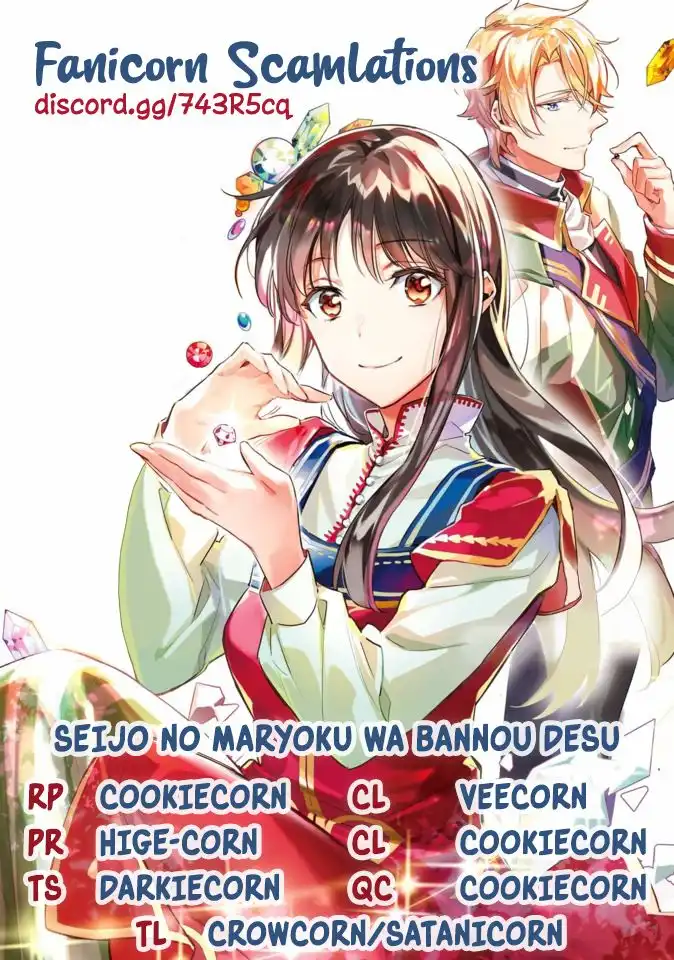 Seijo no Maryoku wa Bannou desu Chapter 19.3 8